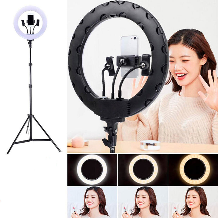 14 Inch Selfie Ring Light with 3 Phone Holders, Remote & 76” Tripod Stand for Live Stream, Makeup, YouTube Video, TikTok Compatible
