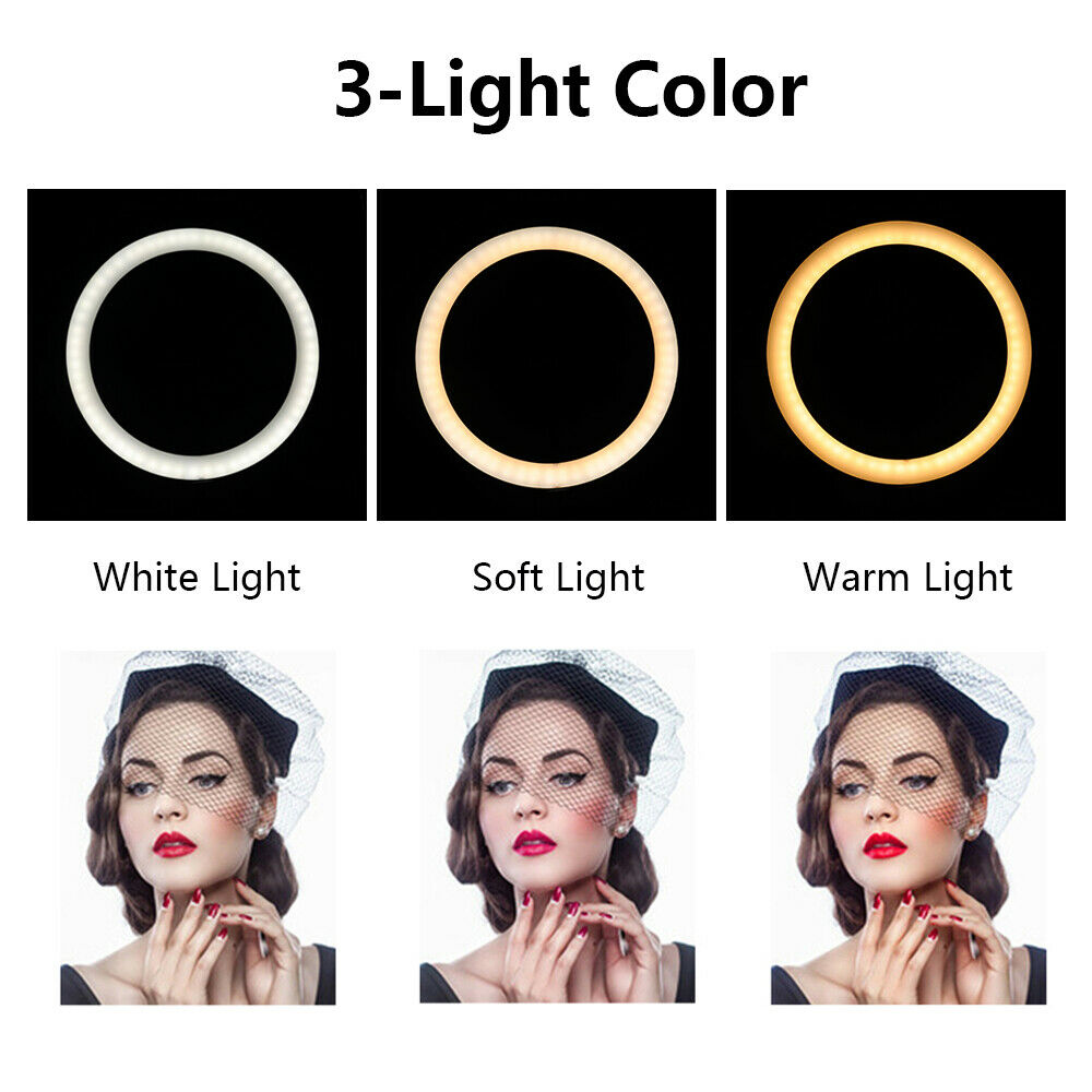 10 Inch Selfie Ring Light with 76 Inch Tripod Stand & Universal Cell Phone Holder for Live Stream, Makeup, Video